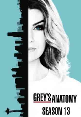مسلسل greys anatomy الموسم الثالث عشر